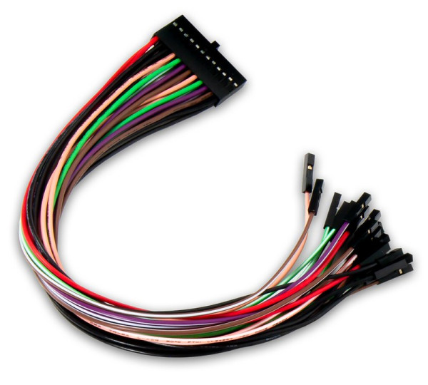 2x12 Flywires: Signal Cable Assembly für die Analog Discovery Pro 3000 Serie